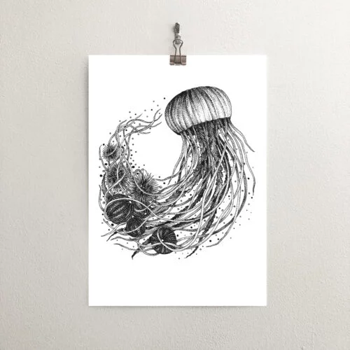 White Thistle Design, Jellyfish Illustration Art Print