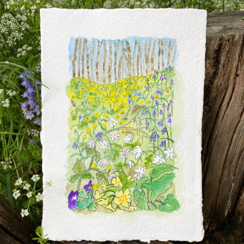 An original watercolour of spring bank in a wood full of wildflowers