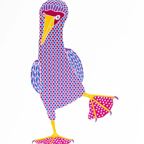 Colourful dancing booby bird screen print