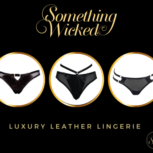Something Wicked luxury lingerie briefs