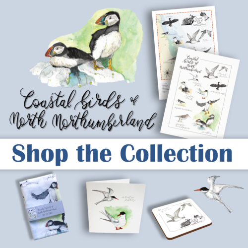 Shop the Collection - Coastal Birds