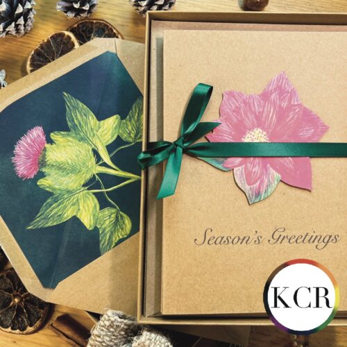 Manila box set of greetings cards wrapped in emerald green ribbon with illustrated envelope inlay of thistle and ivy